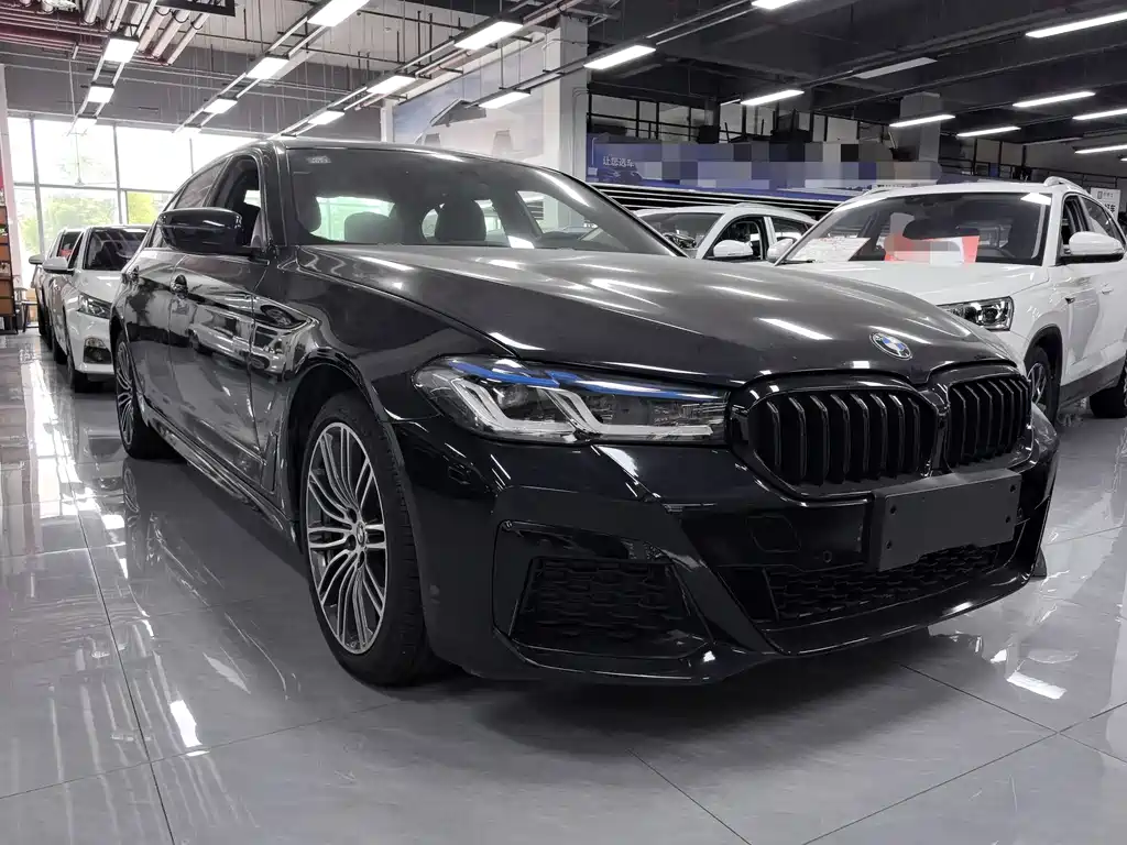 BMW 5 Series — миниатюра 3