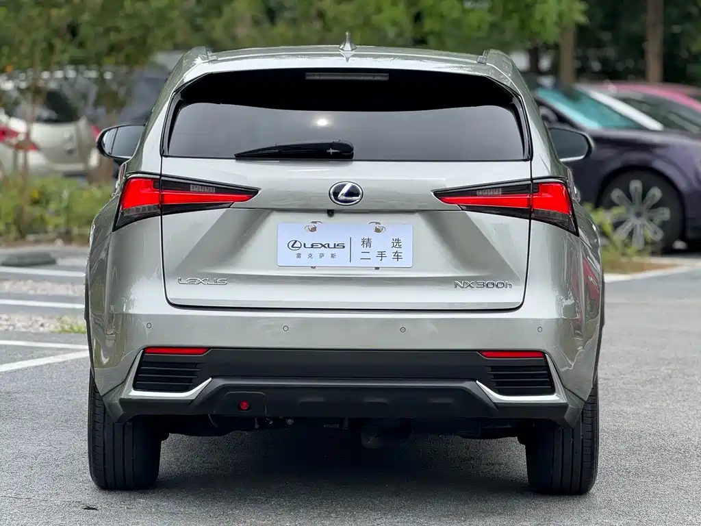 Lexus NX — миниатюра 15