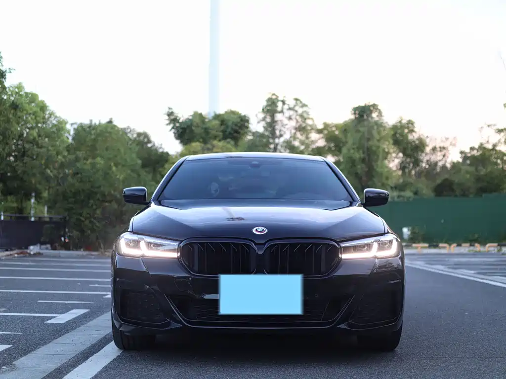 BMW 5 Series — миниатюра 3