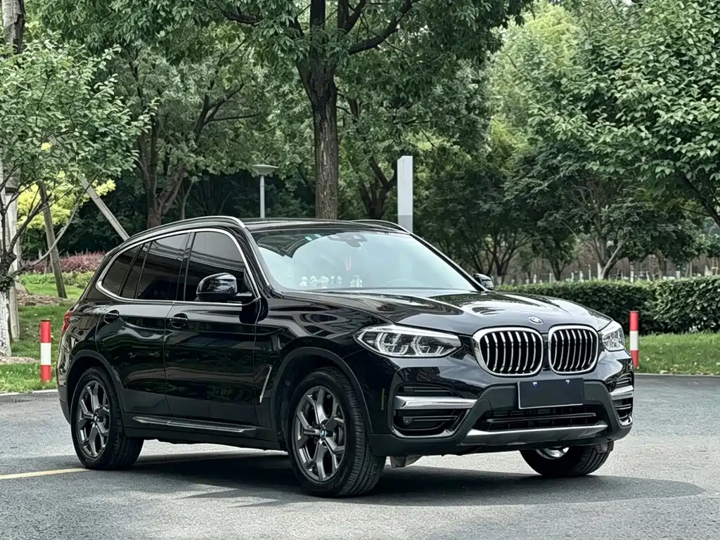 BMW X3 — миниатюра 3
