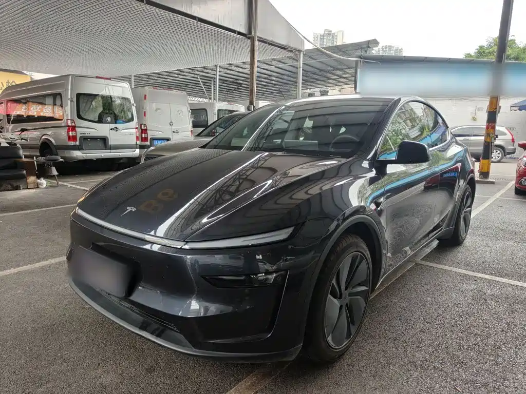 Tesla Model Y — миниатюра 2