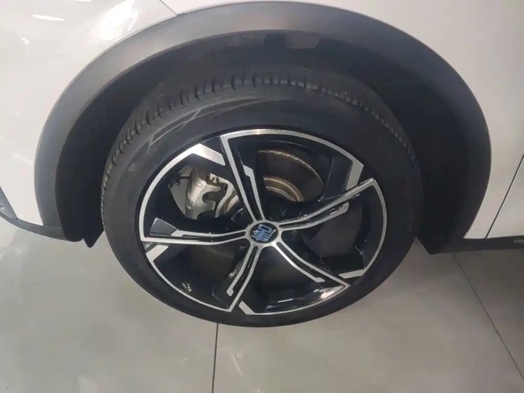 BYD Tang New Energy — миниатюра 23