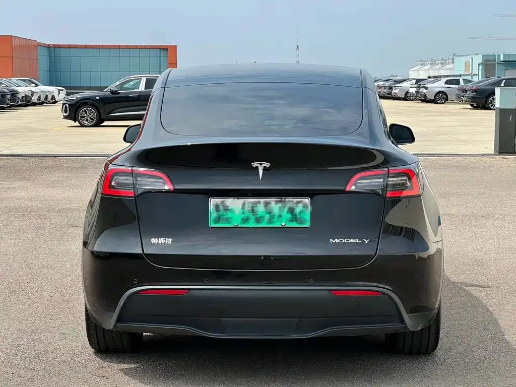 Tesla Model Y — миниатюра 3