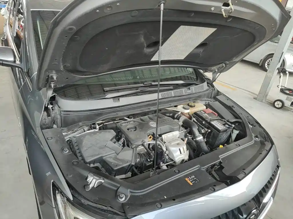 Buick GL6 — миниатюра 20