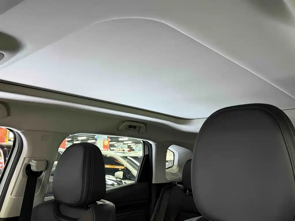 HAVAL SECOND GENERATION BIG DOG NEW ENERGY