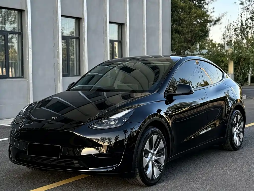 Tesla Model Y — миниатюра 2