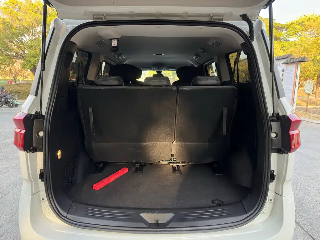 SAIC MAXUS CHASE G20