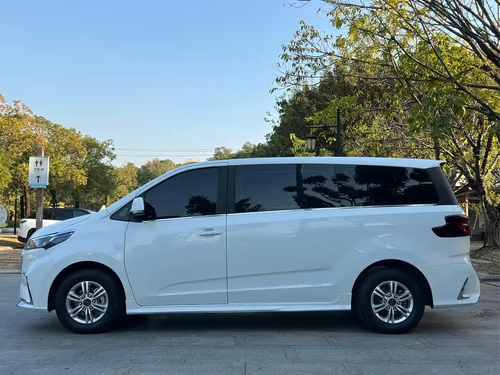 SAIC MAXUS CHASE G20