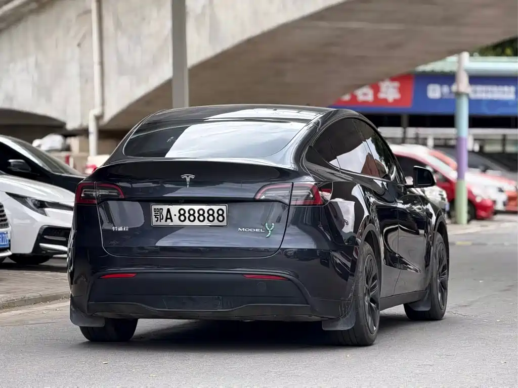 Tesla Model Y — миниатюра 6