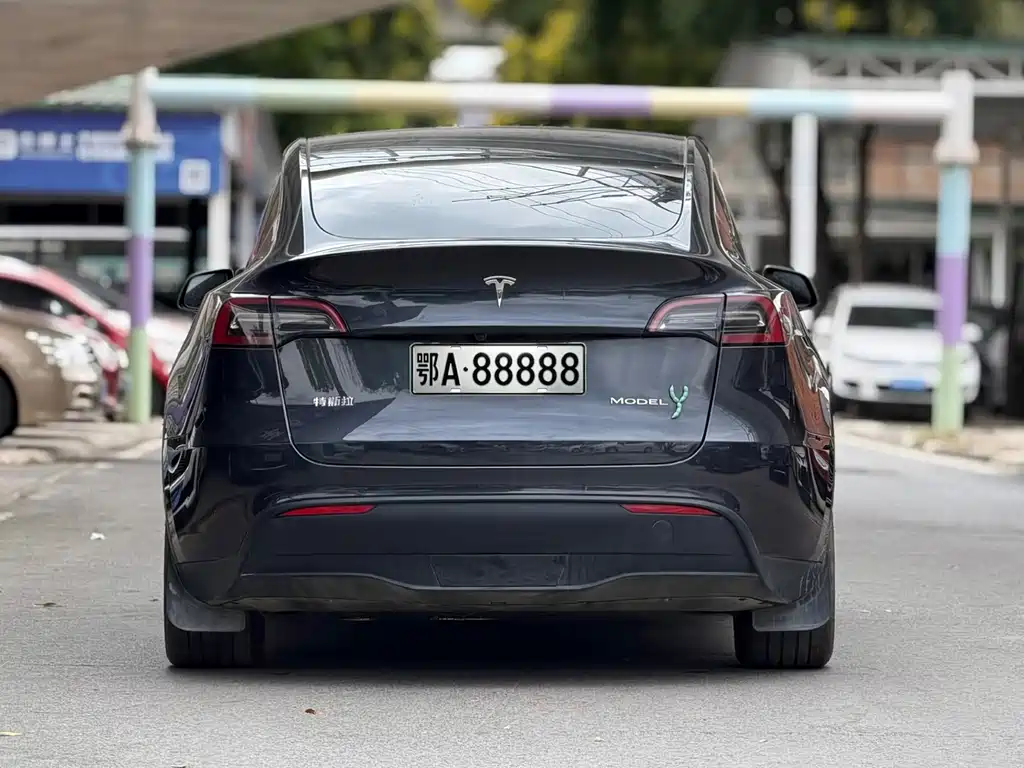 Tesla Model Y — миниатюра 5