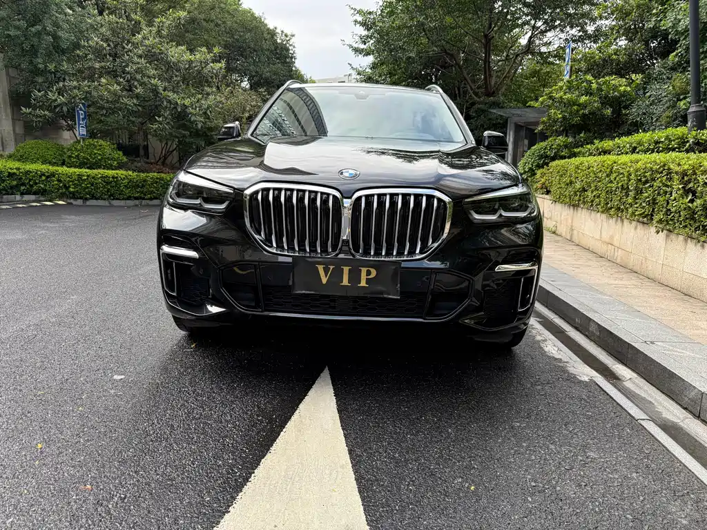 BMW X5 — миниатюра 3