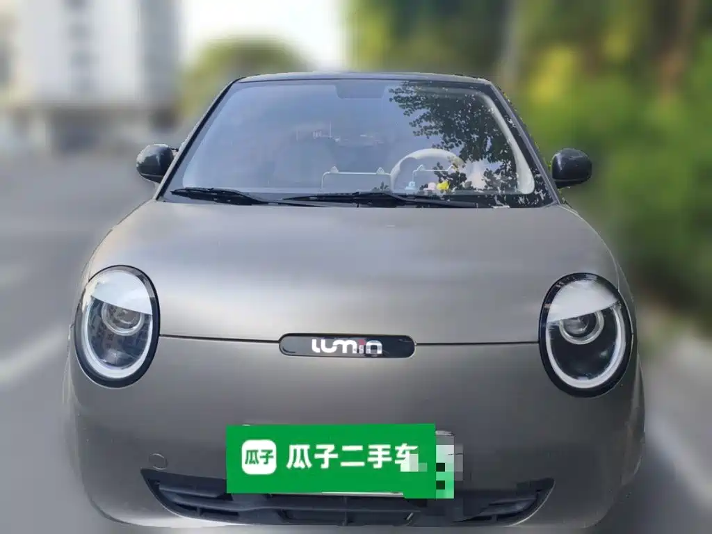 Qiyuan Lumin — миниатюра 2