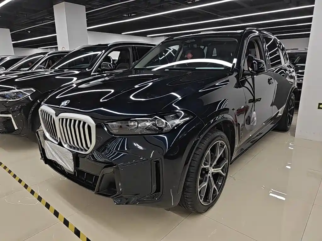 BMW X5 — миниатюра 2