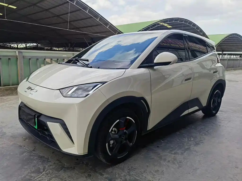 Byd Seagull 2024