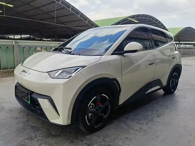 2024 BYD Seagull