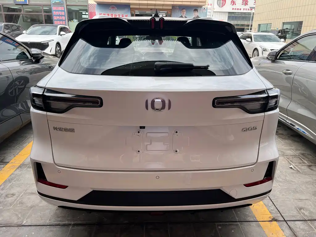 Qiyuan Чанг Ан Кай Q05 классика. — миниатюра 8
