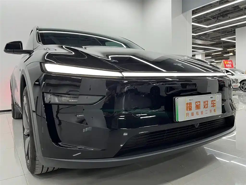 Tesla Model Y — миниатюра 11