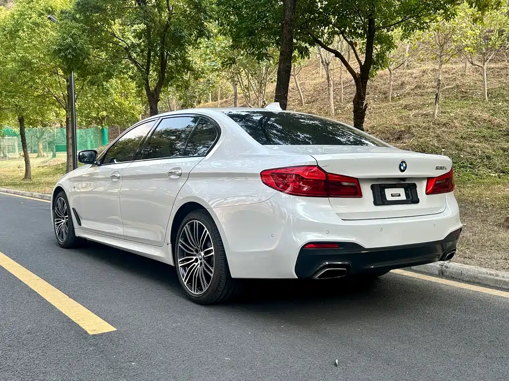 BMW 5 SERIES