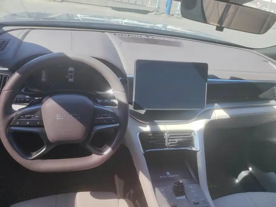 BYD PLUS New Energy — миниатюра 12