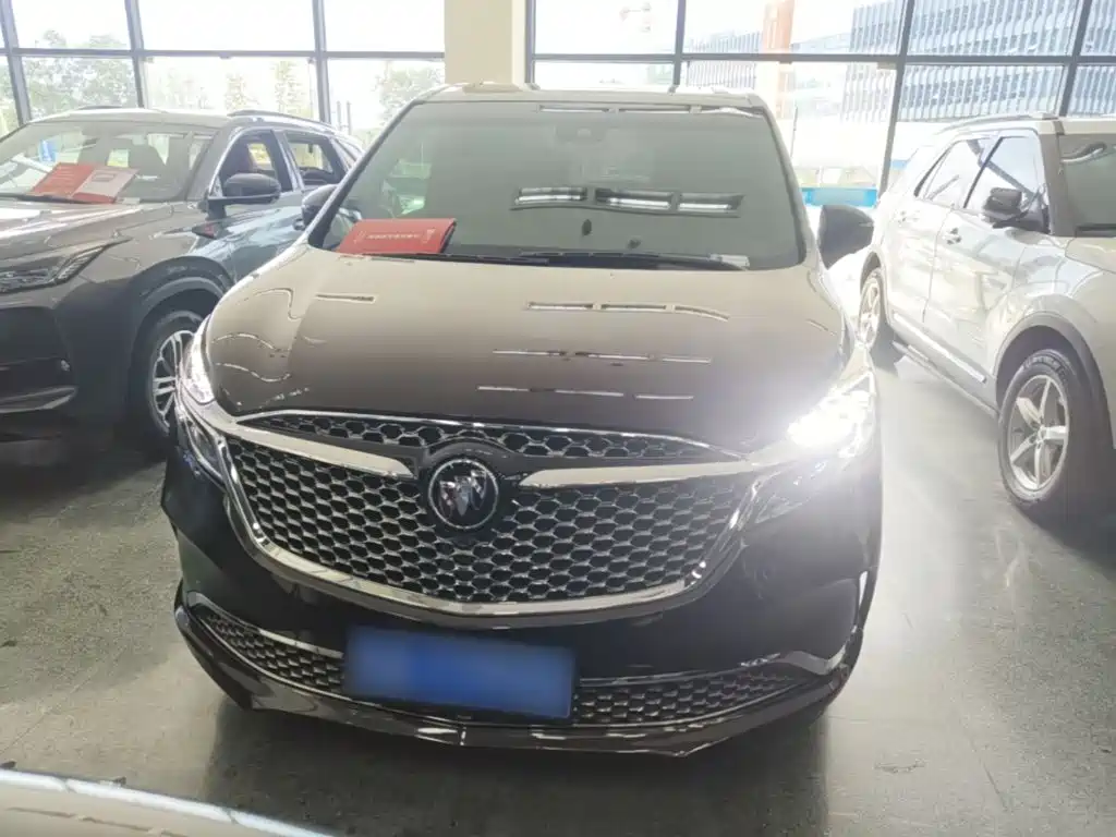 Buick GL8 — миниатюра 3