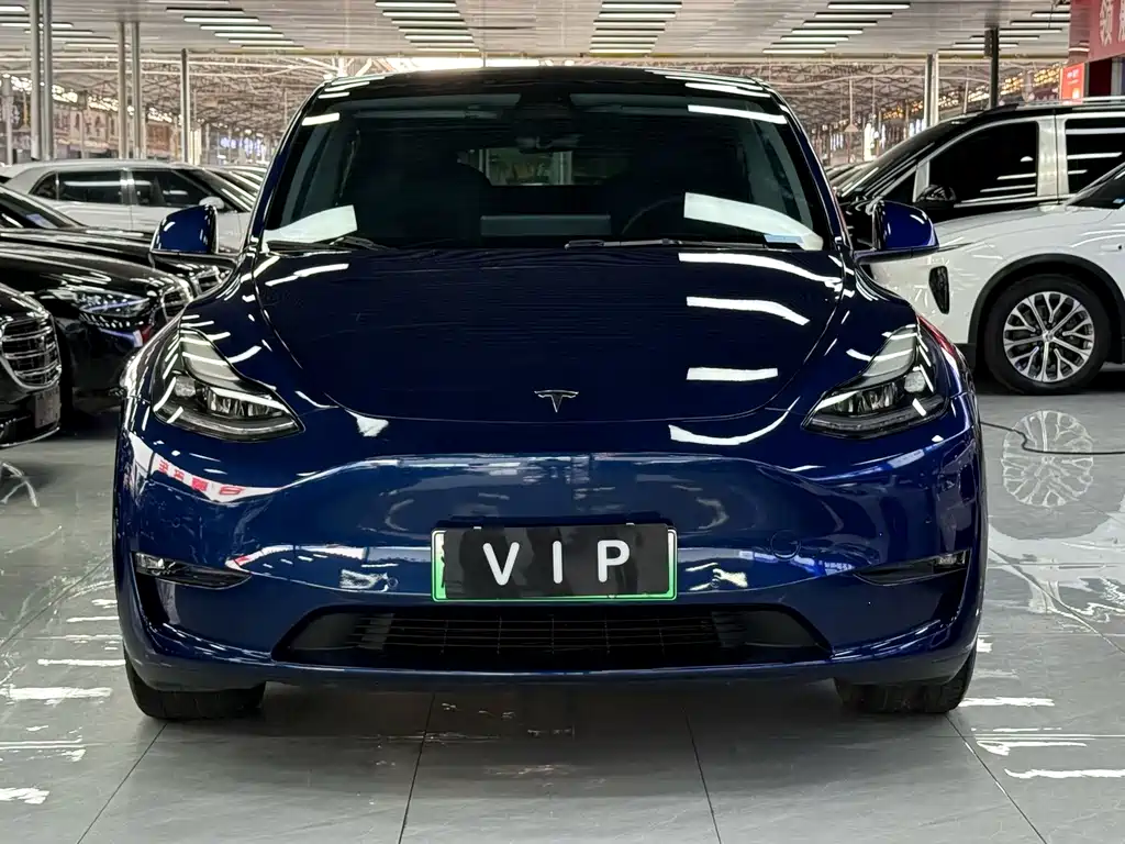 Tesla Model Y — миниатюра 2