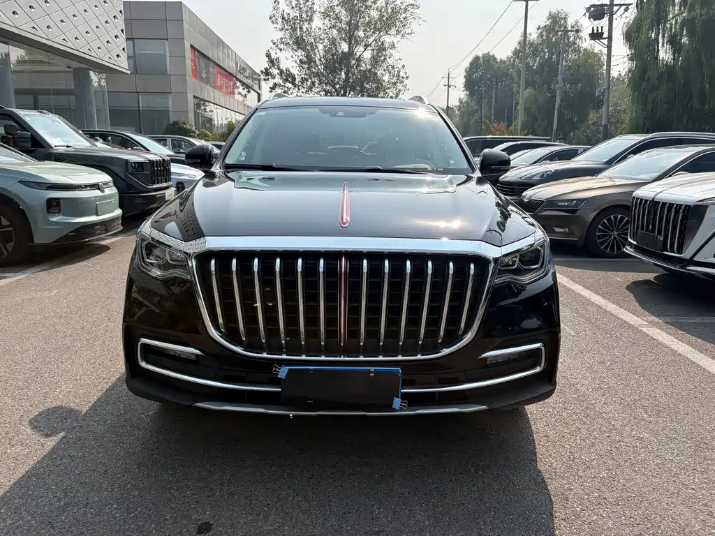 Hongqi Hongqi HS7 — миниатюра 2