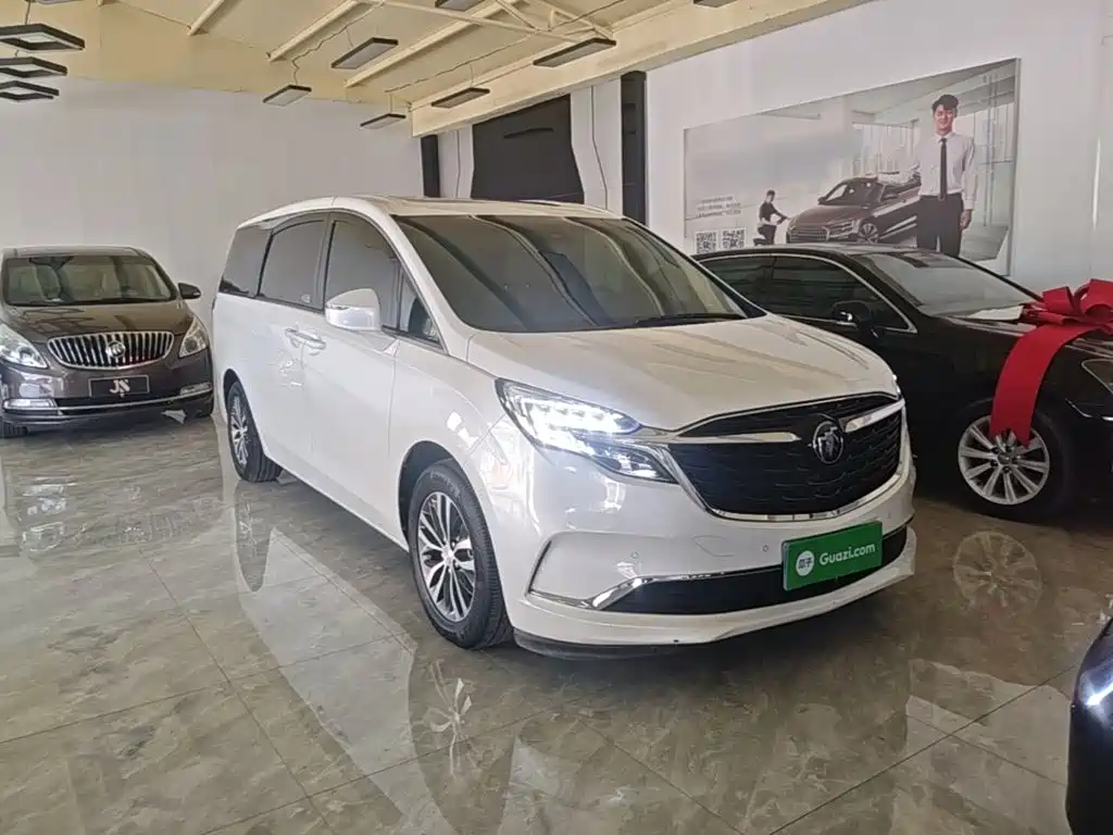 Buick GL8 — миниатюра 4