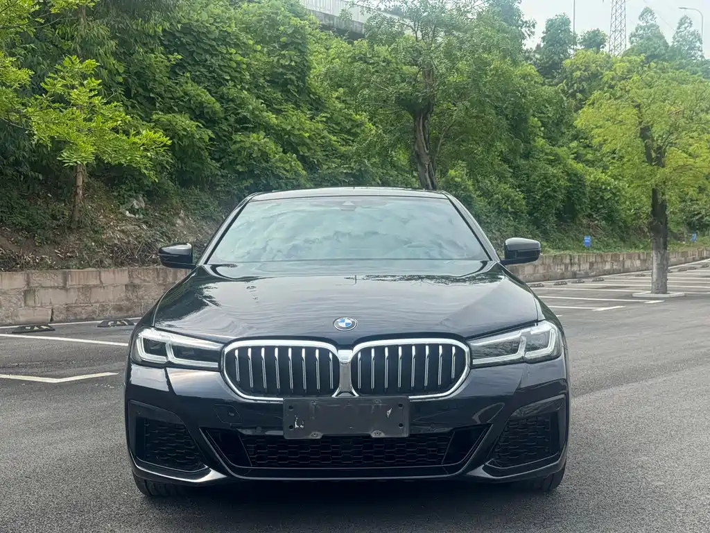 BMW 5 Series 5 2022 530Li Lead M Sport