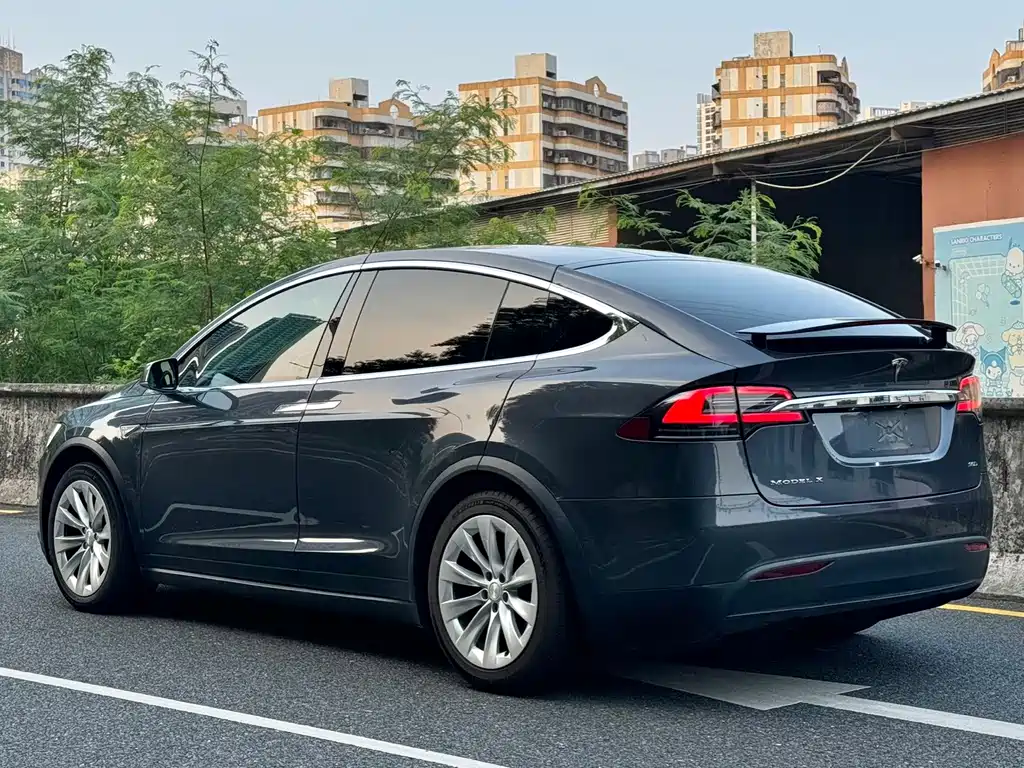 Tesla Model X — миниатюра 4