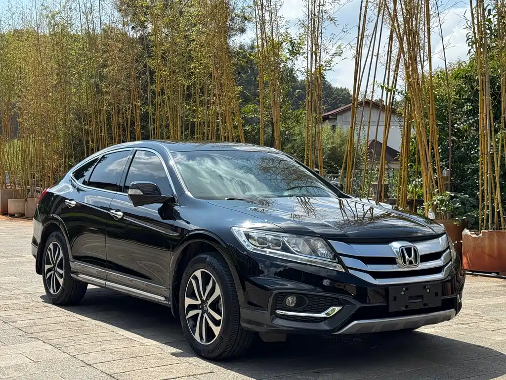 Honda Crosstour — миниатюра 3