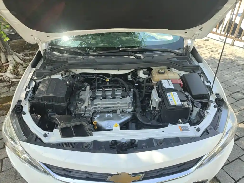 Chevrolet Cavalier — миниатюра 20