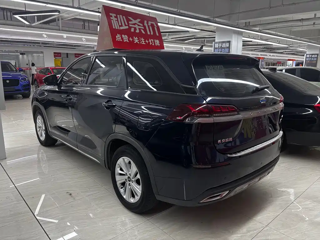 Oshan Oushang X7 — миниатюра 4