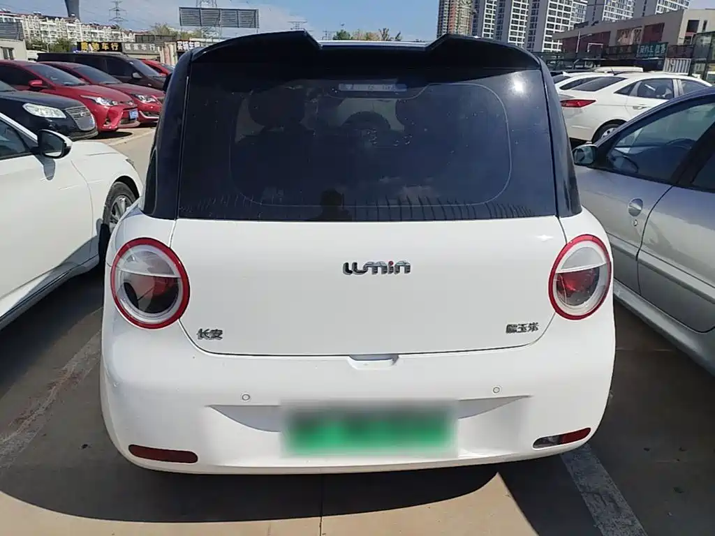 Qiyuan Lumin — миниатюра 6