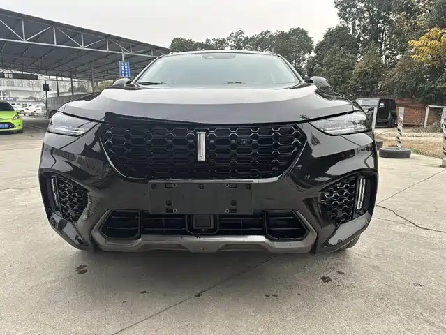 2019 Wey VV7