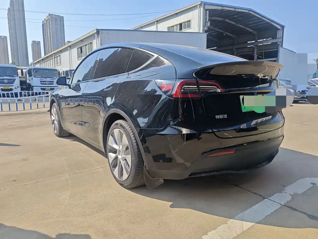 Tesla Model Y — миниатюра 9