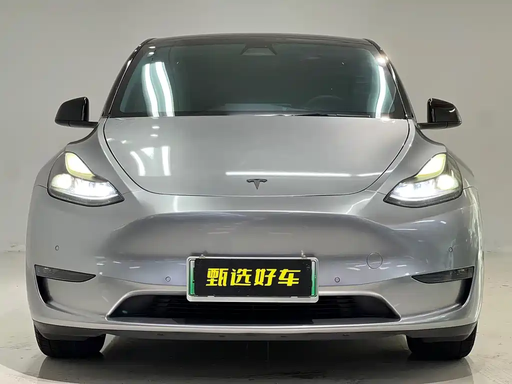 Tesla Model Y — миниатюра 2