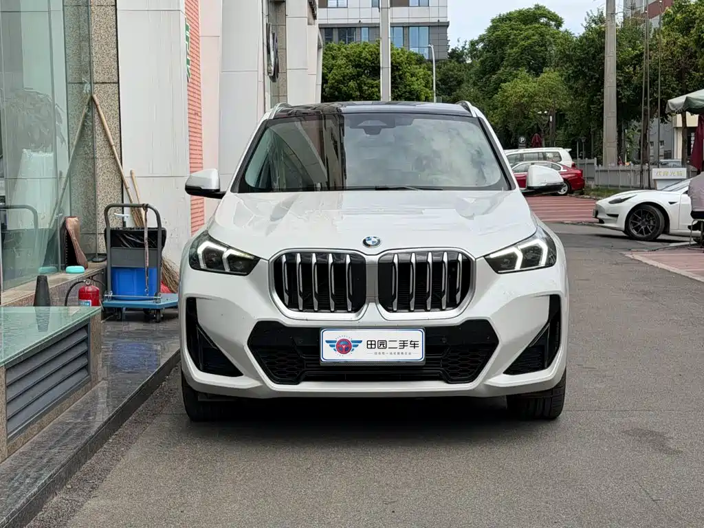BMW X1 — миниатюра 2