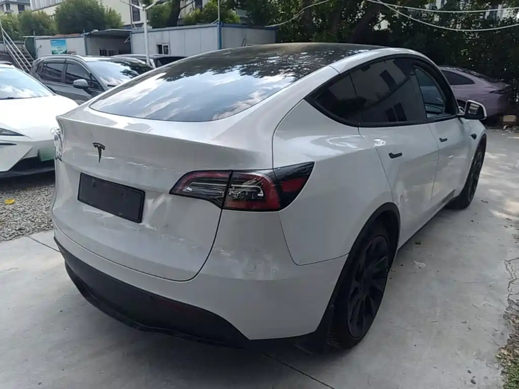 Tesla Model Y — миниатюра 7