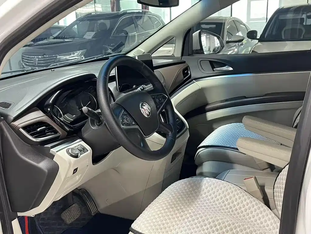 Buick GL8 — миниатюра 11