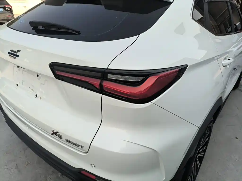 Oshan Oushang X5 — миниатюра 8