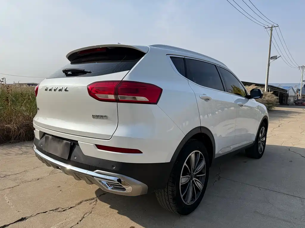 Haval H6 — миниатюра 7