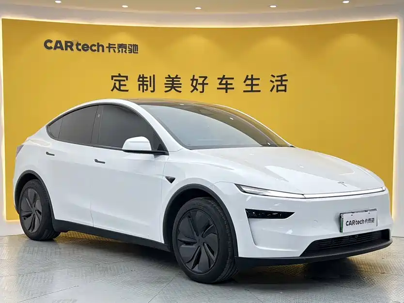 Tesla Model Y — миниатюра 2