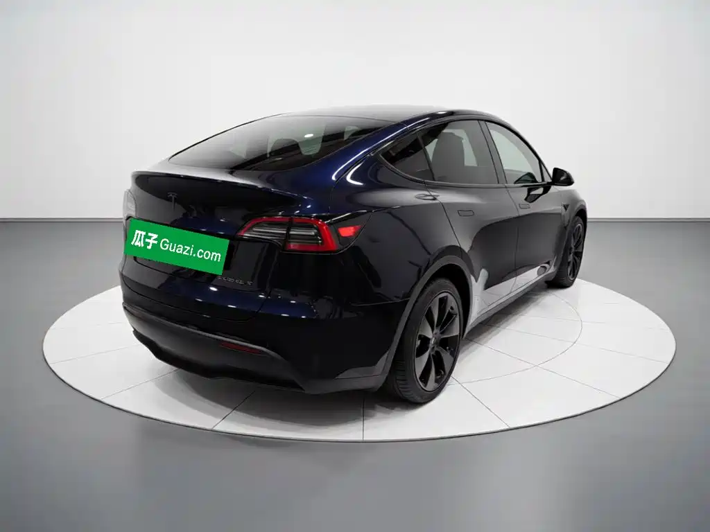 Tesla Model Y — миниатюра 4