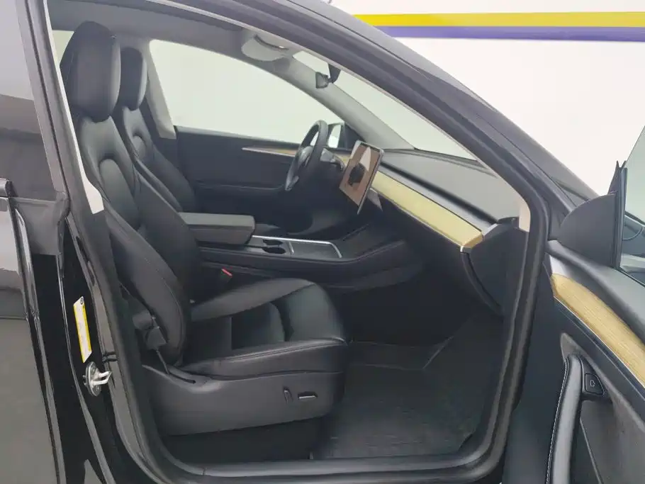 Tesla Model Y — миниатюра 8