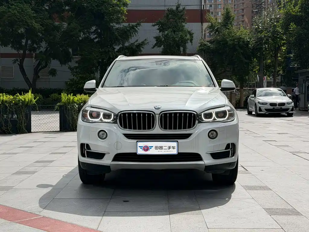 BMW X5 (Import) — миниатюра 2