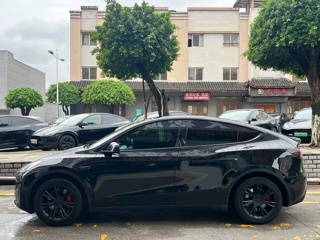 Tesla Model Y — миниатюра 4