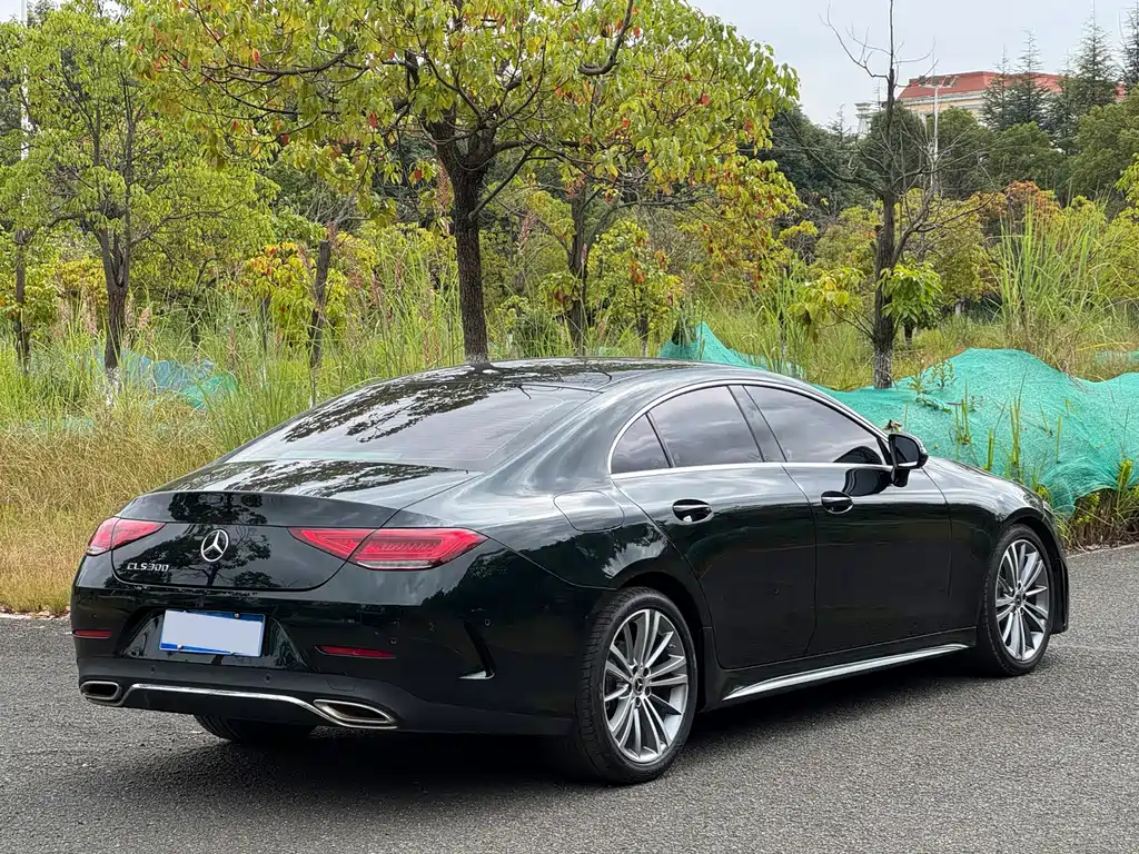 Mercedes-Benz CLS — миниатюра 4