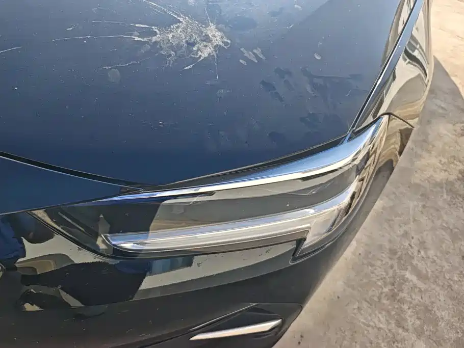 Buick Regal — миниатюра 5