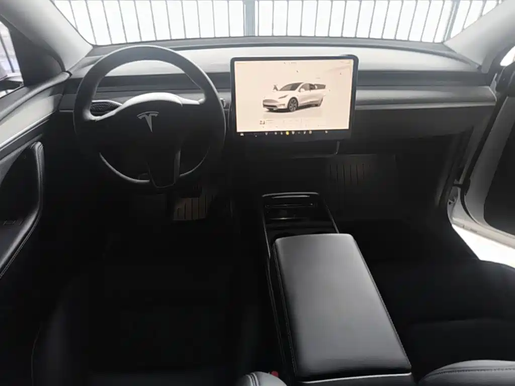 Tesla Model Y — миниатюра 10