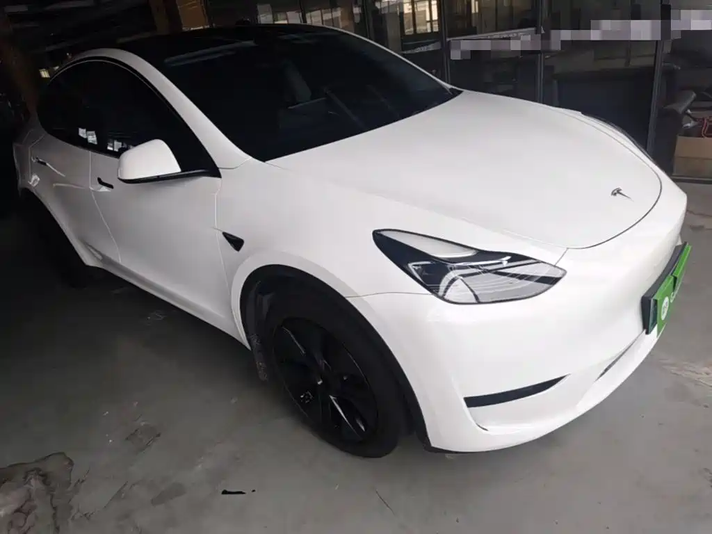 Tesla Model Y — миниатюра 4